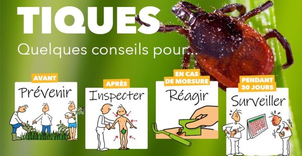 20240418 Visuel Site Tiques ep