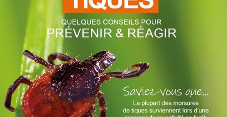 Illustration de l'actualité - cliquer pour agrandir