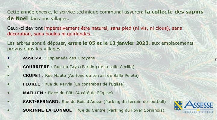 Collecte de sapin