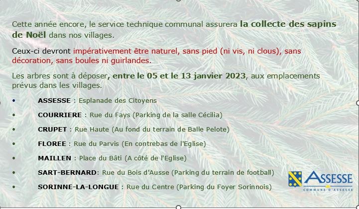 Collecte de sapin