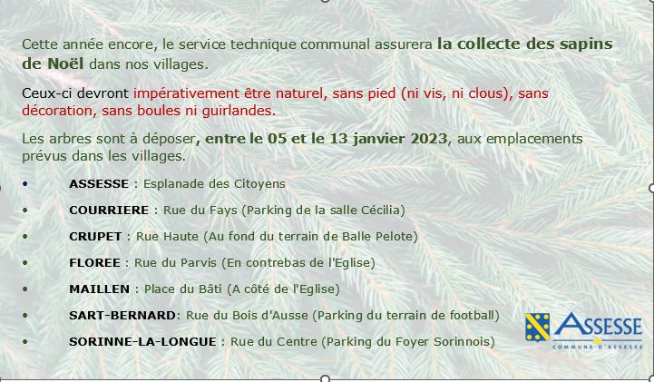 Collecte de sapin