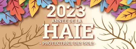 Illustration de l'actualité - cliquer pour agrandir