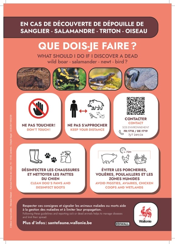 affiche fr redimensionne page 0001