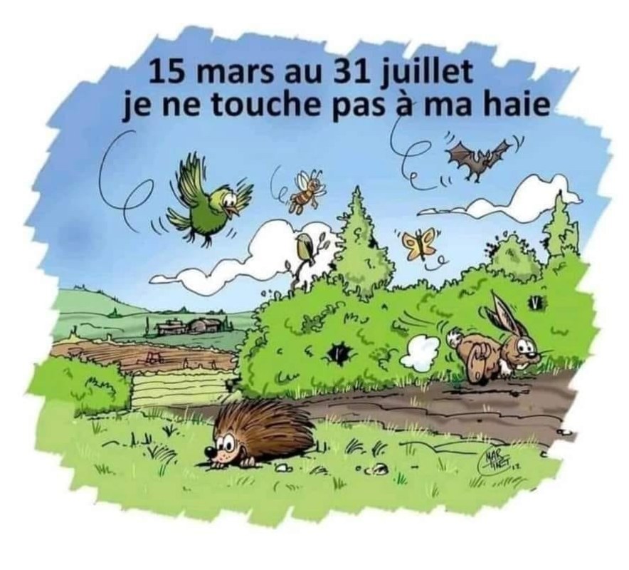 Biodiversite_NoTaille