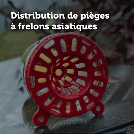 Illustration de l'actualité - cliquer pour agrandir