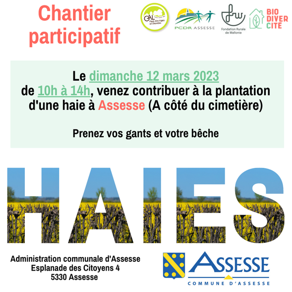 Chantier_Assesse