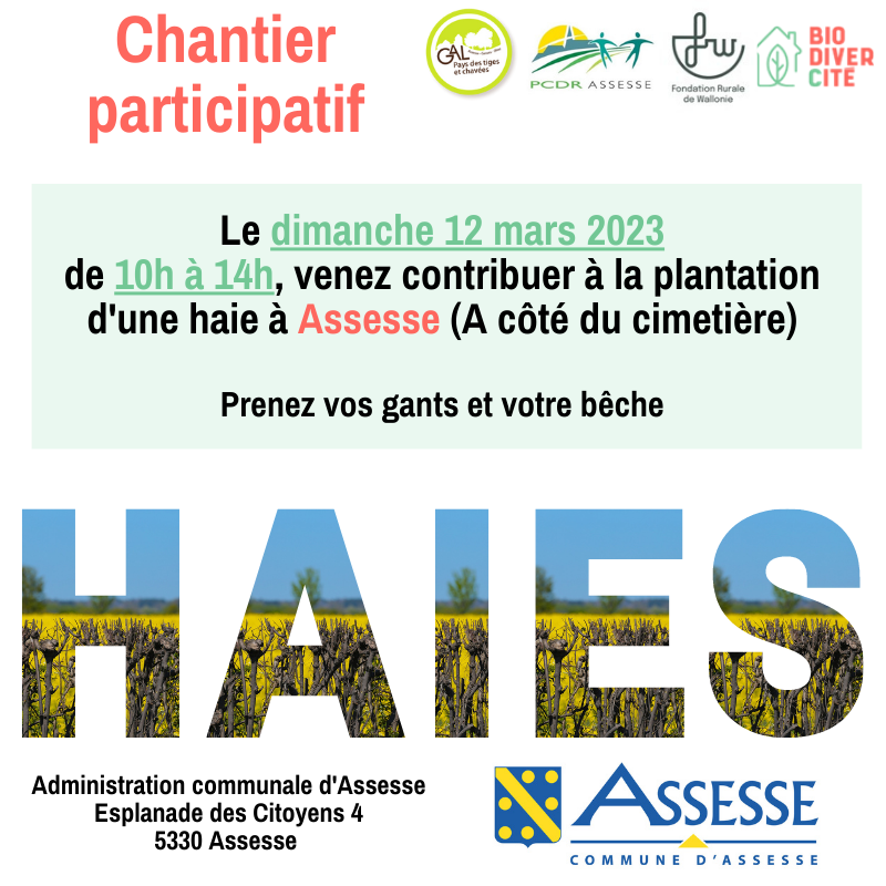 Chantier_Assesse