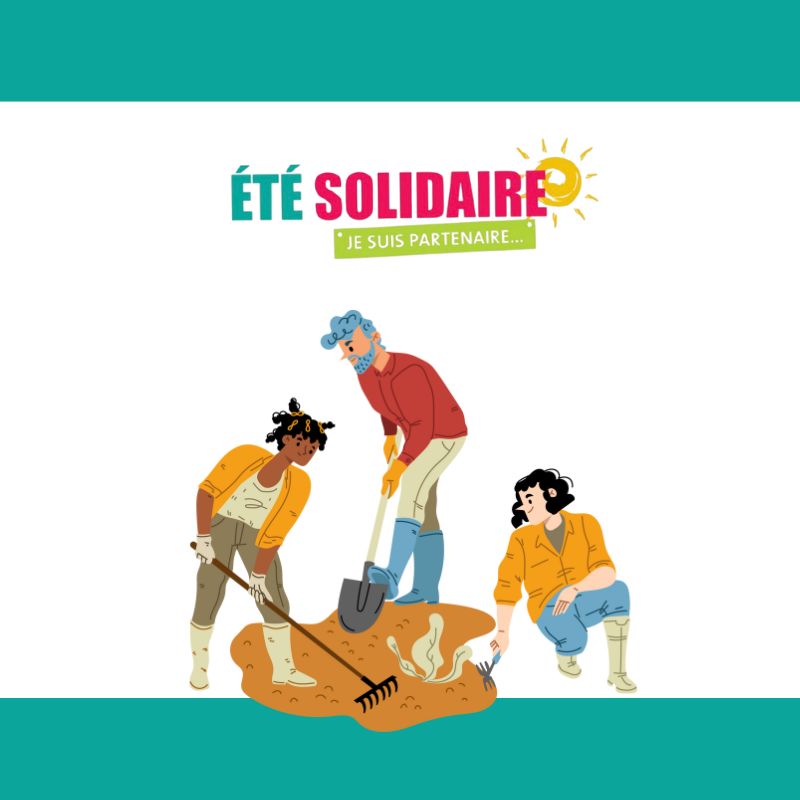 Visu actu Eté Solidaire 2 .jpg
