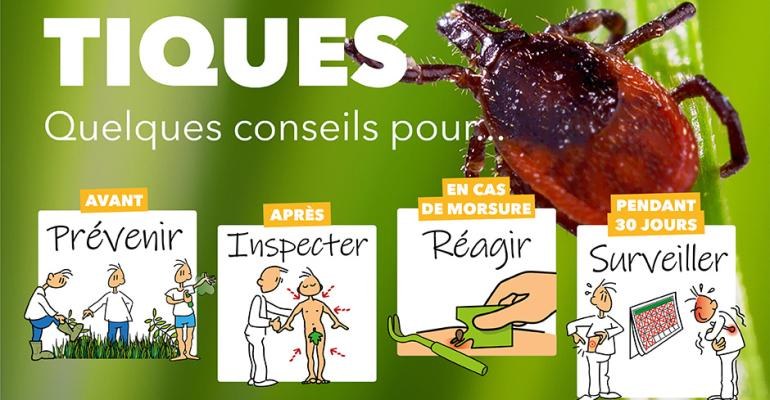 Visuel-Site-Tiques.jpg