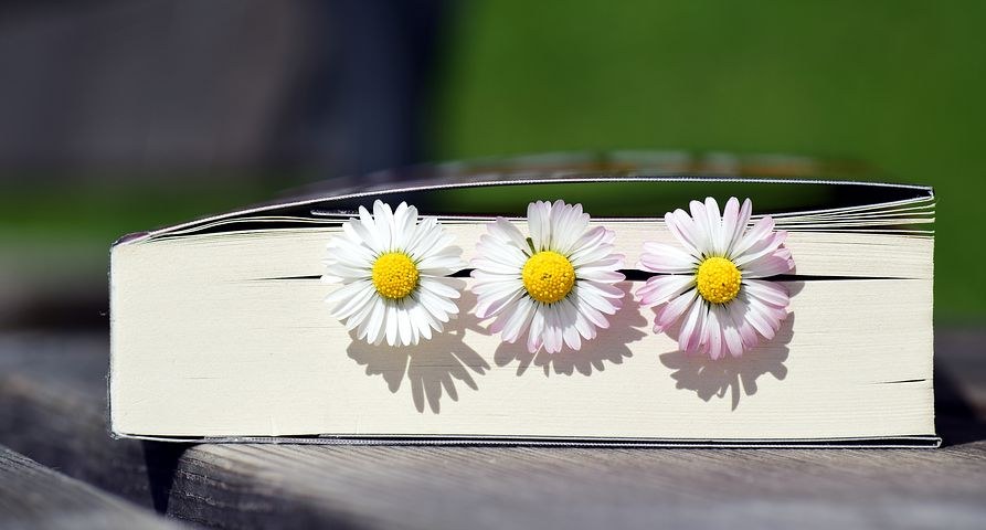 marguerite