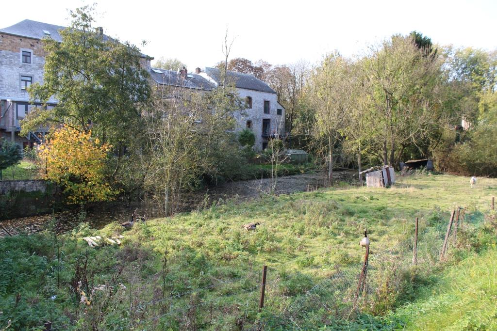 Assesse -  Grande eau - Compressée ©OTA.JPG