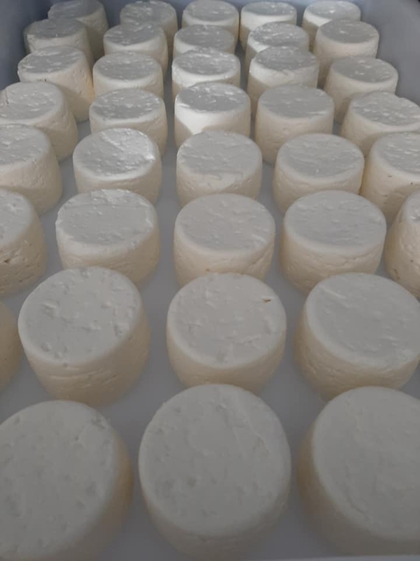 Bergerie de la Dièle fromages.jpg
