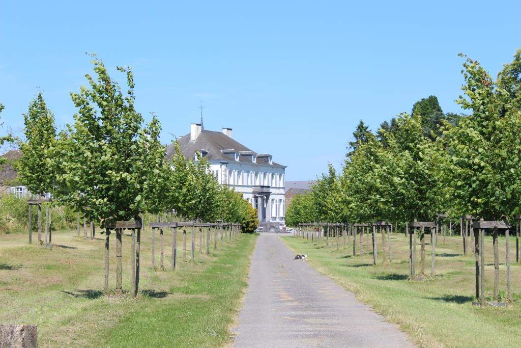 Château de Sorine-L-L Compressée.JPG