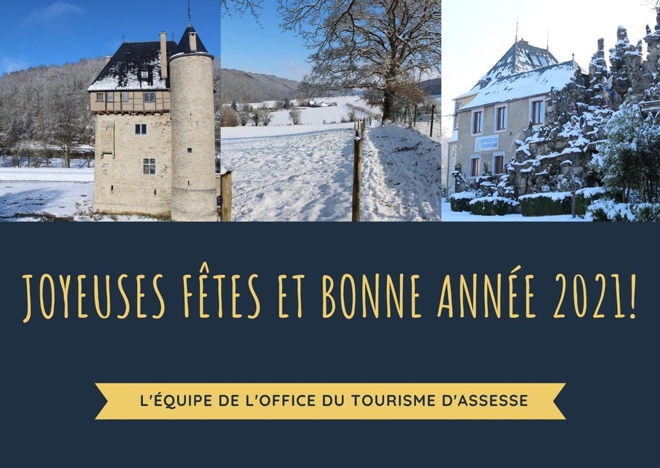 Joyeuses fêtes et bonne année 2021!.jpg