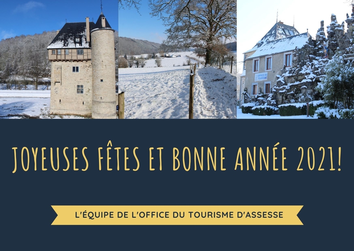 Joyeuses fêtes et bonne année 2021!.jpg