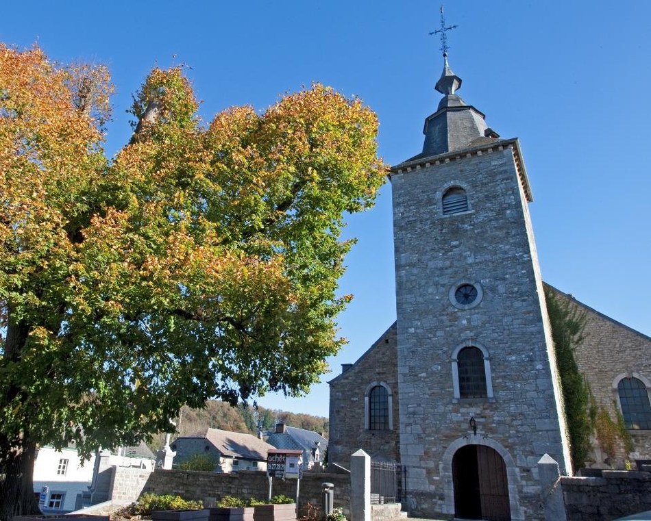 Crupet - Eglise Saint-Martin  ©Daniel Steenhaut.jpg