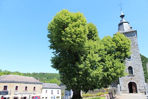 Eglise Saint-Martin de Crupet ©OTA (3).JPG