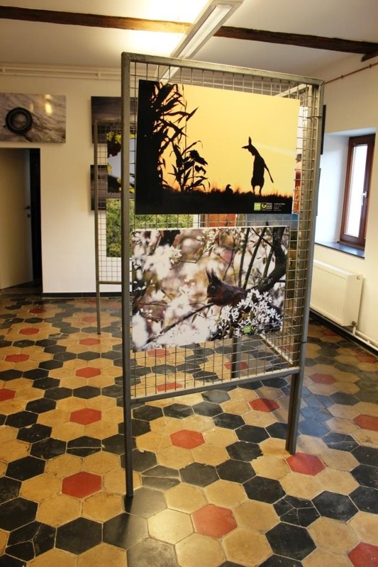 Expo Agrinature octobre-novembre 2019 ©OTA (1).JPG