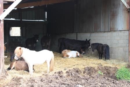 Ferme d'Aïcha.JPG