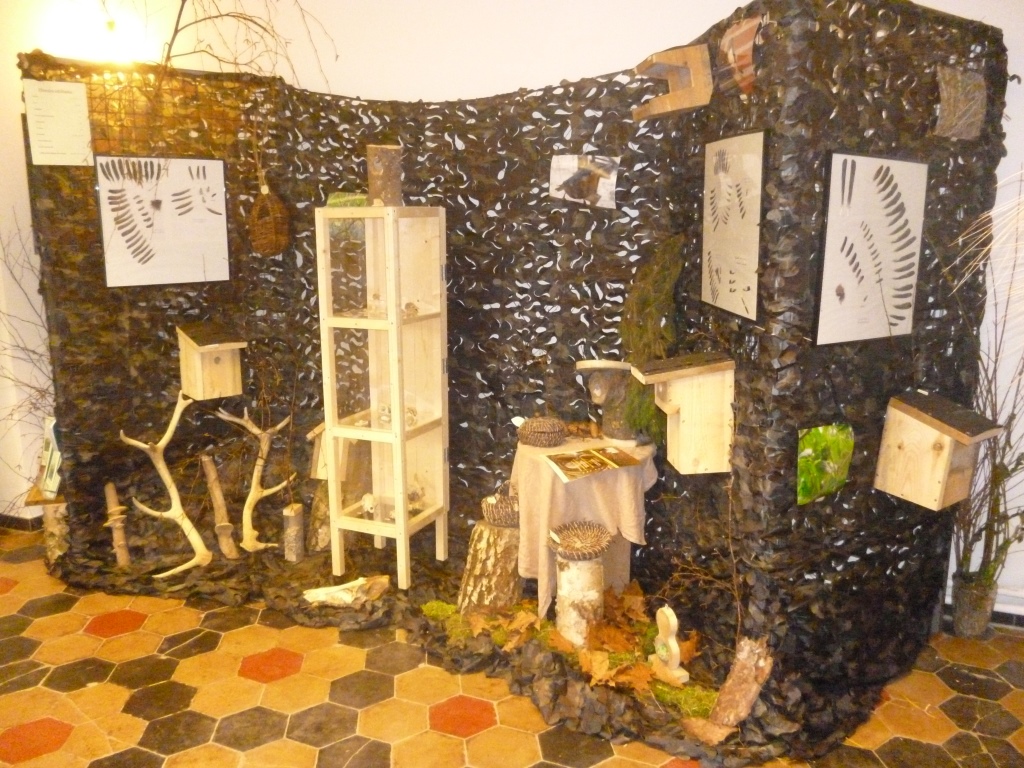 P1020187.JPG