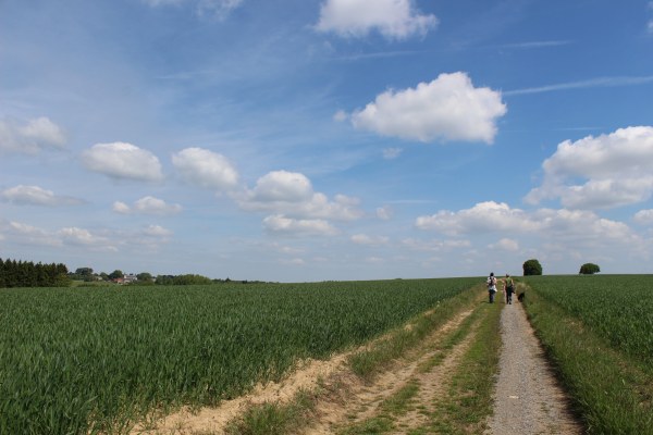 Promeneurs©OTA-min.JPG