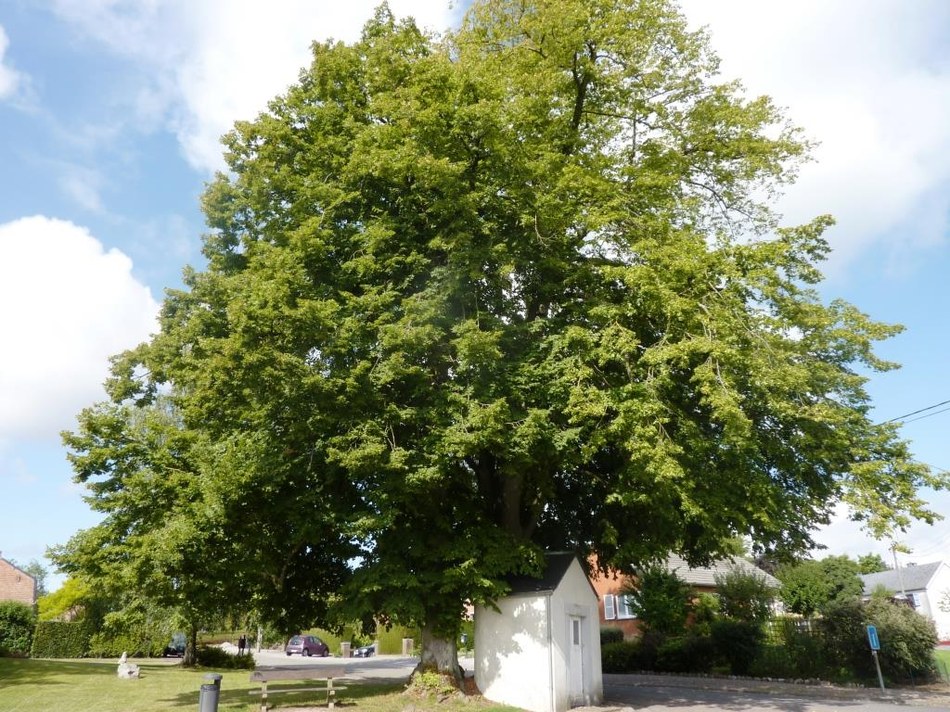 Sart-Bernard - Chapelle Notre-Dame de Hal compressée ©OTA.JPG