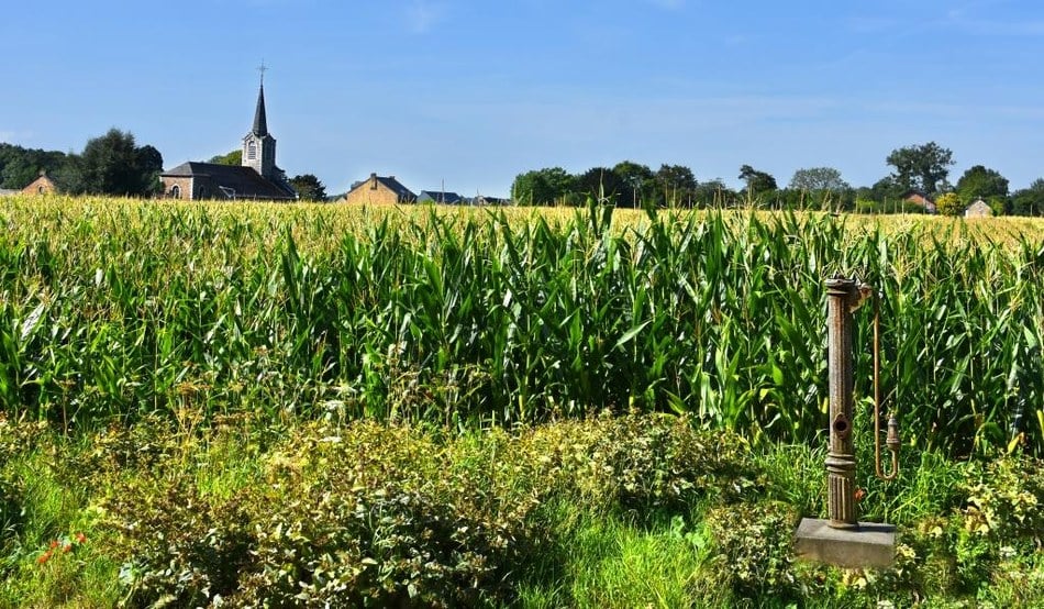 Sorinne-la-Longue ©C. Collet.jpg