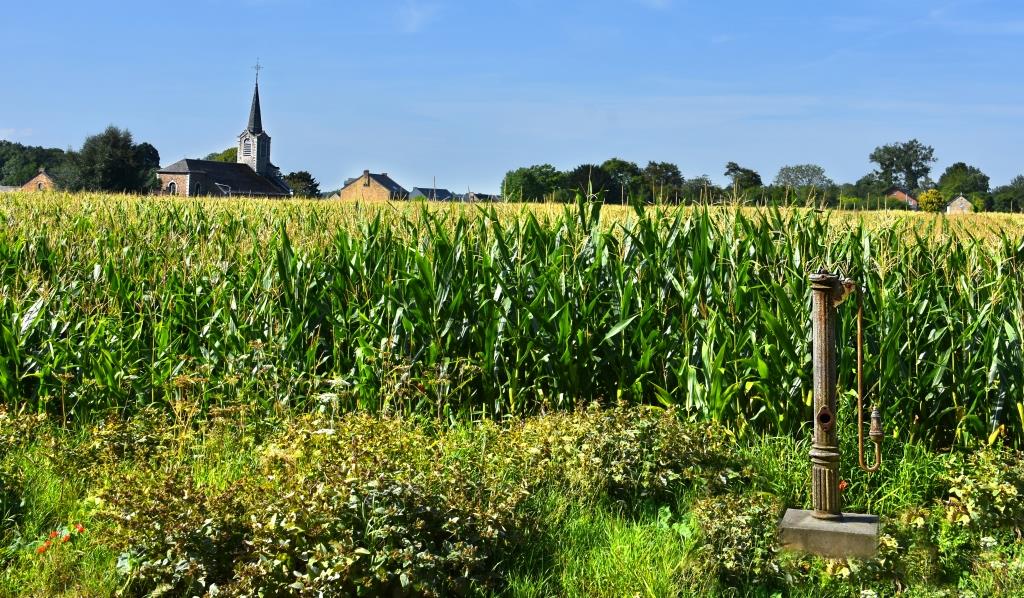 Sorinne-la-Longue ©C. Collet.jpg