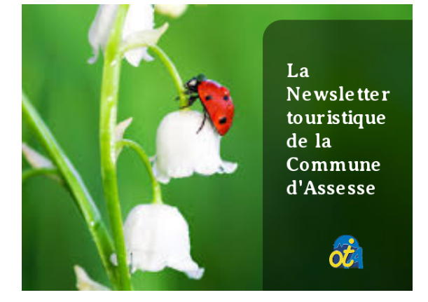 newsletter mai