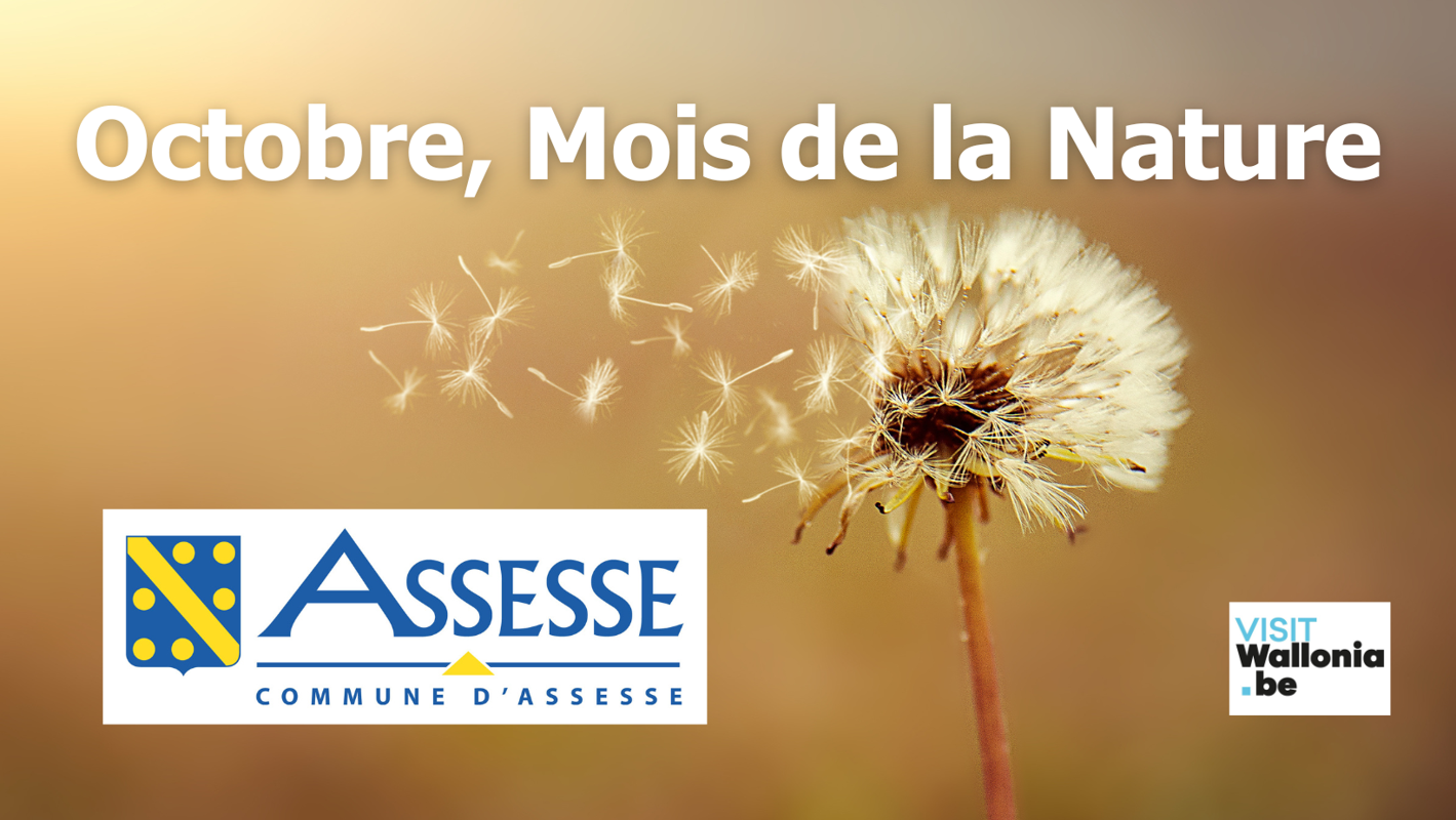Octobre, Mois de la Nature à Assesse (3)