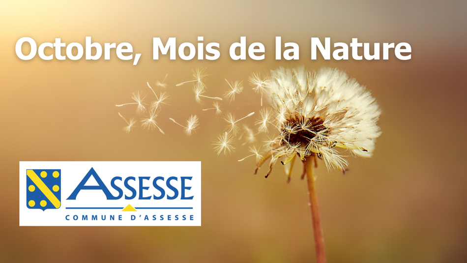 Octobre, Mois de la Nature à Assesse