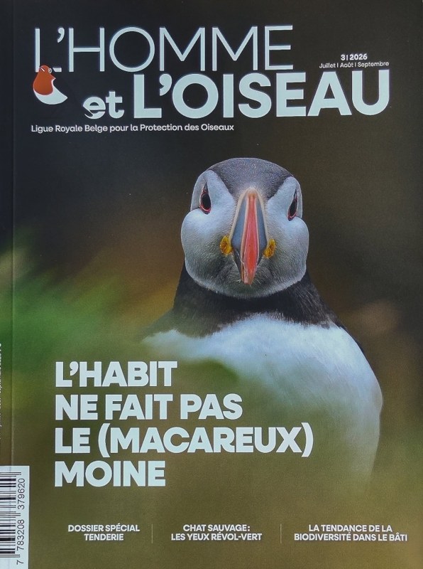 Oiseau