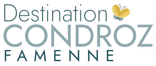 logo mtcf