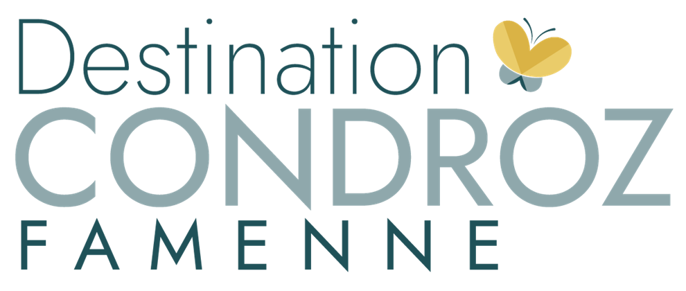 logo mtcf