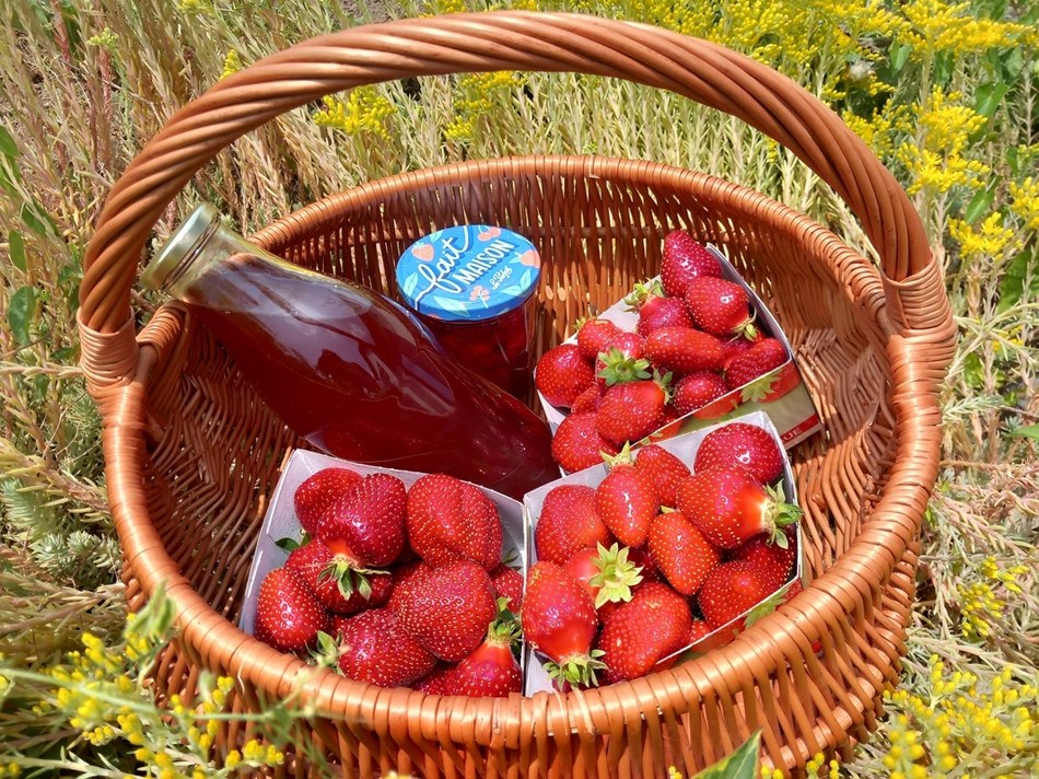 ramene ta fraise 2