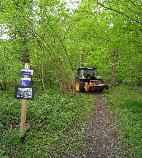 Image1