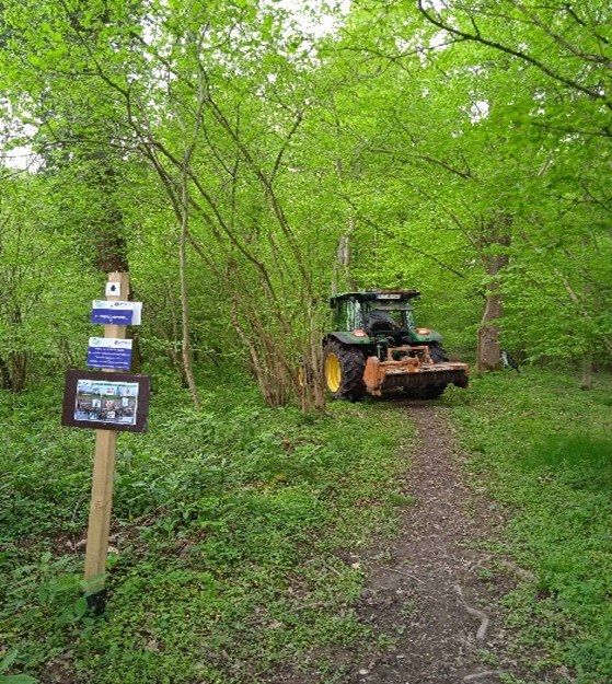 Image1