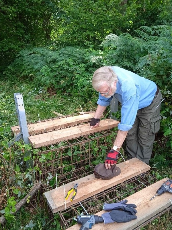Image7jpg